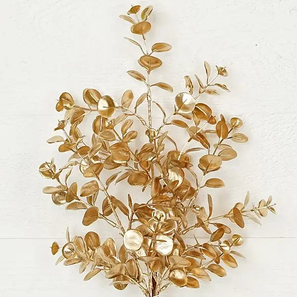 Golden Eucalyptus Bush 18 in