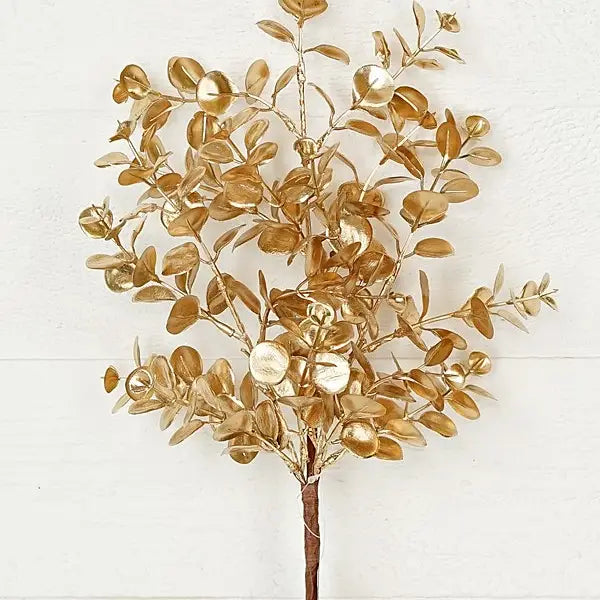 Golden Eucalyptus Bush 18 in